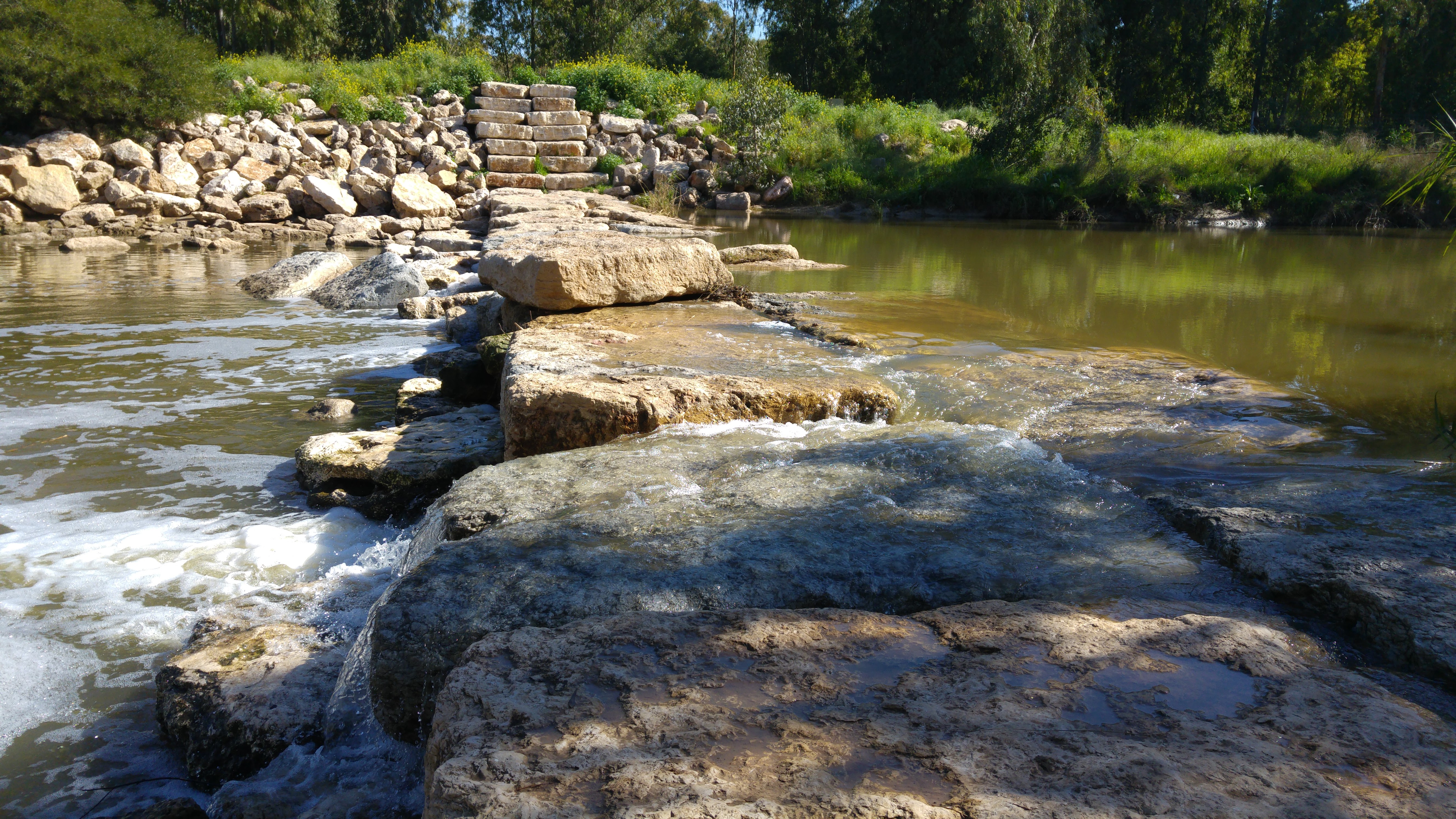 אז מה היה לנו כאן…? by ela tiv - Ourboox.com