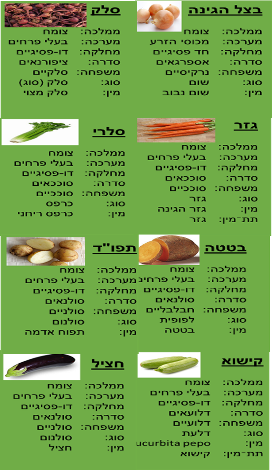 חקר מדעים by gilsh - Illustrated by אביתר חיים, שגיא בוארון, אסף לובטון וגיל שמשון - Ourboox.com