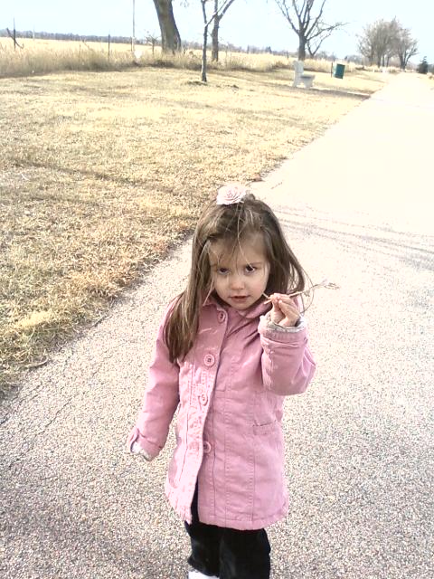 How Many Balloons Do You Have? by brenda kau - Illustrated by brenda kay - Ourboox.com