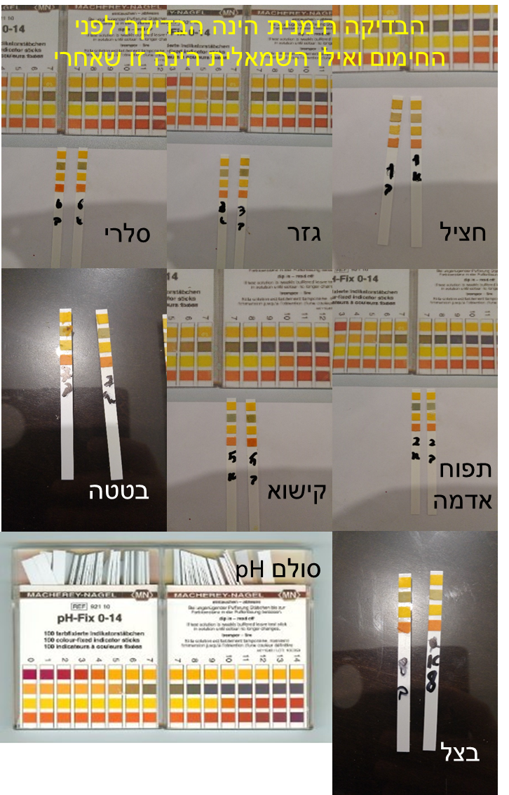 חקר מדעים by gilsh - Illustrated by אביתר חיים, שגיא בוארון, אסף לובטון וגיל שמשון - Ourboox.com
