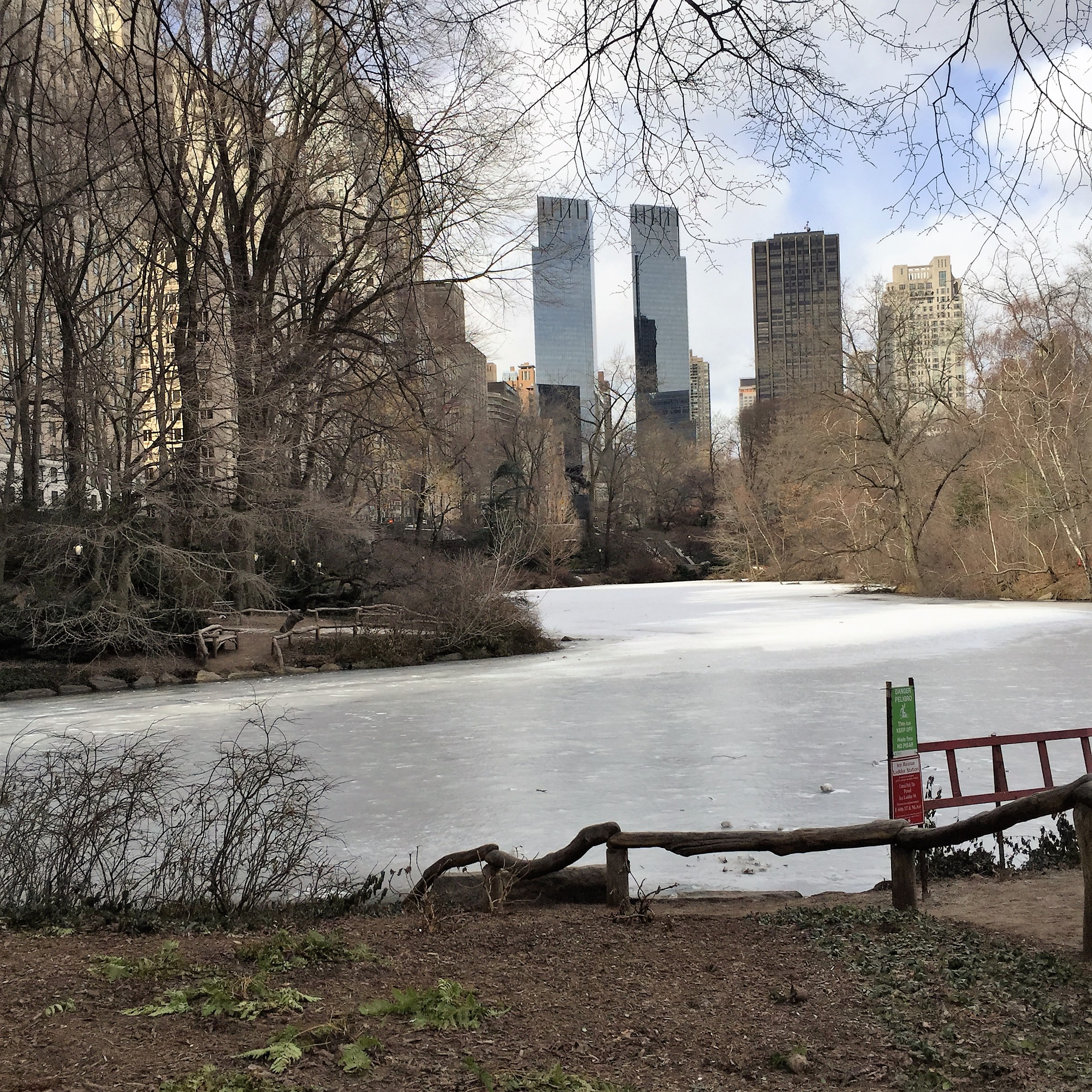 Shpatzir in New York City by Mel Rosenberg - מל רוזנברג - Ourboox.com