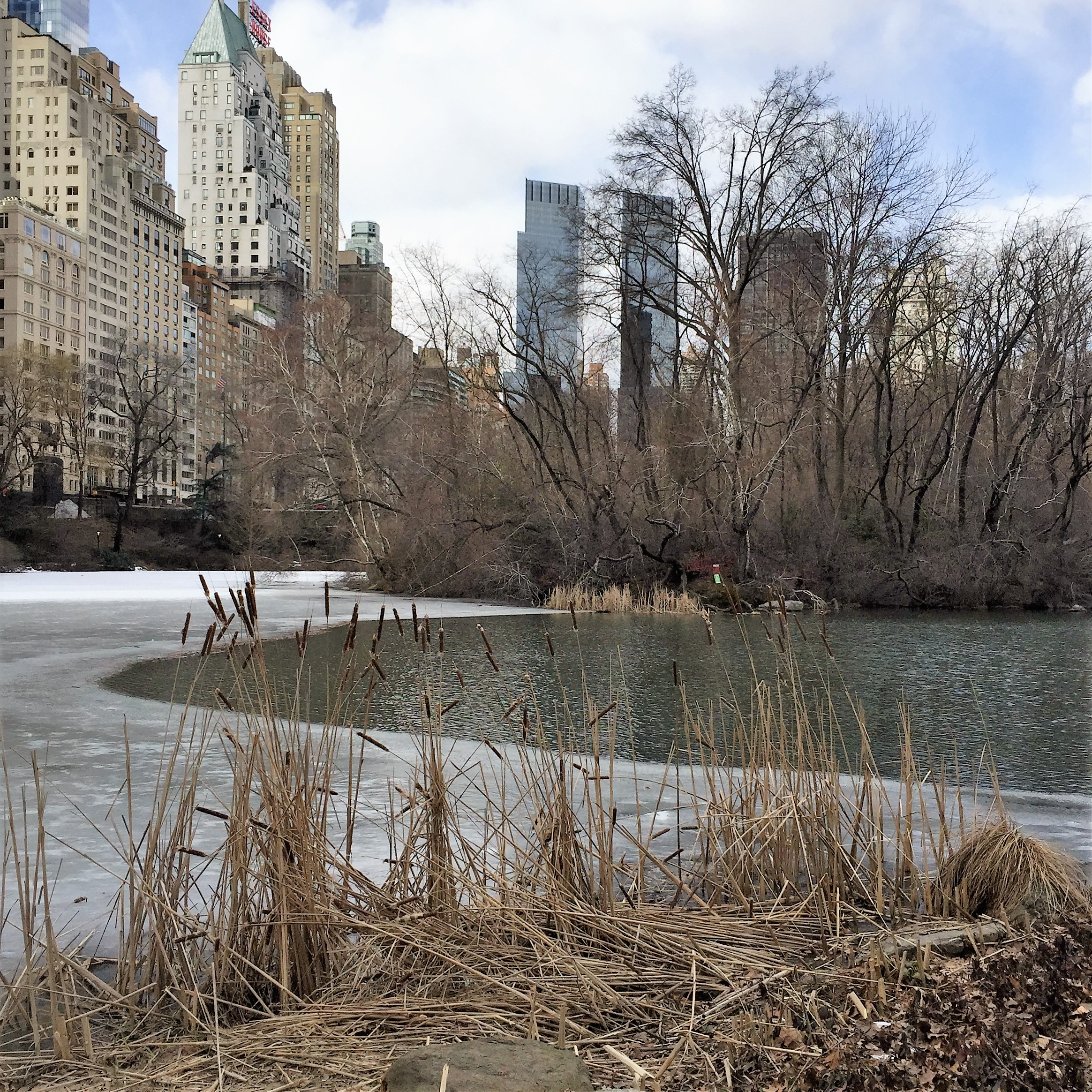 Shpatzir in New York City by Mel Rosenberg - מל רוזנברג - Ourboox.com