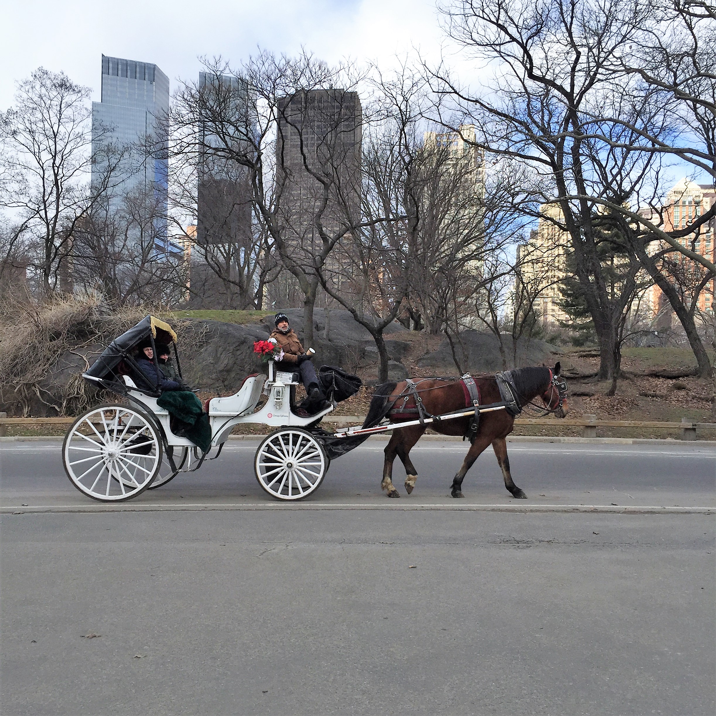 Shpatzir in New York City by Mel Rosenberg - מל רוזנברג - Ourboox.com