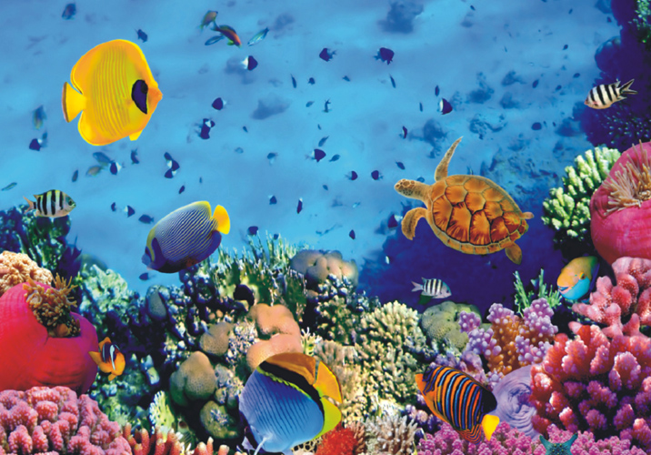 Amazing Maizee dearO by Einat Keren Mazor - Ourboox.com