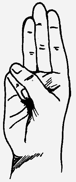 המחרוזת ט’7 – ראש קבוצה ניצן עופר by Nitzan Ofer - Illustrated by גוגל תמונות - Ourboox.com