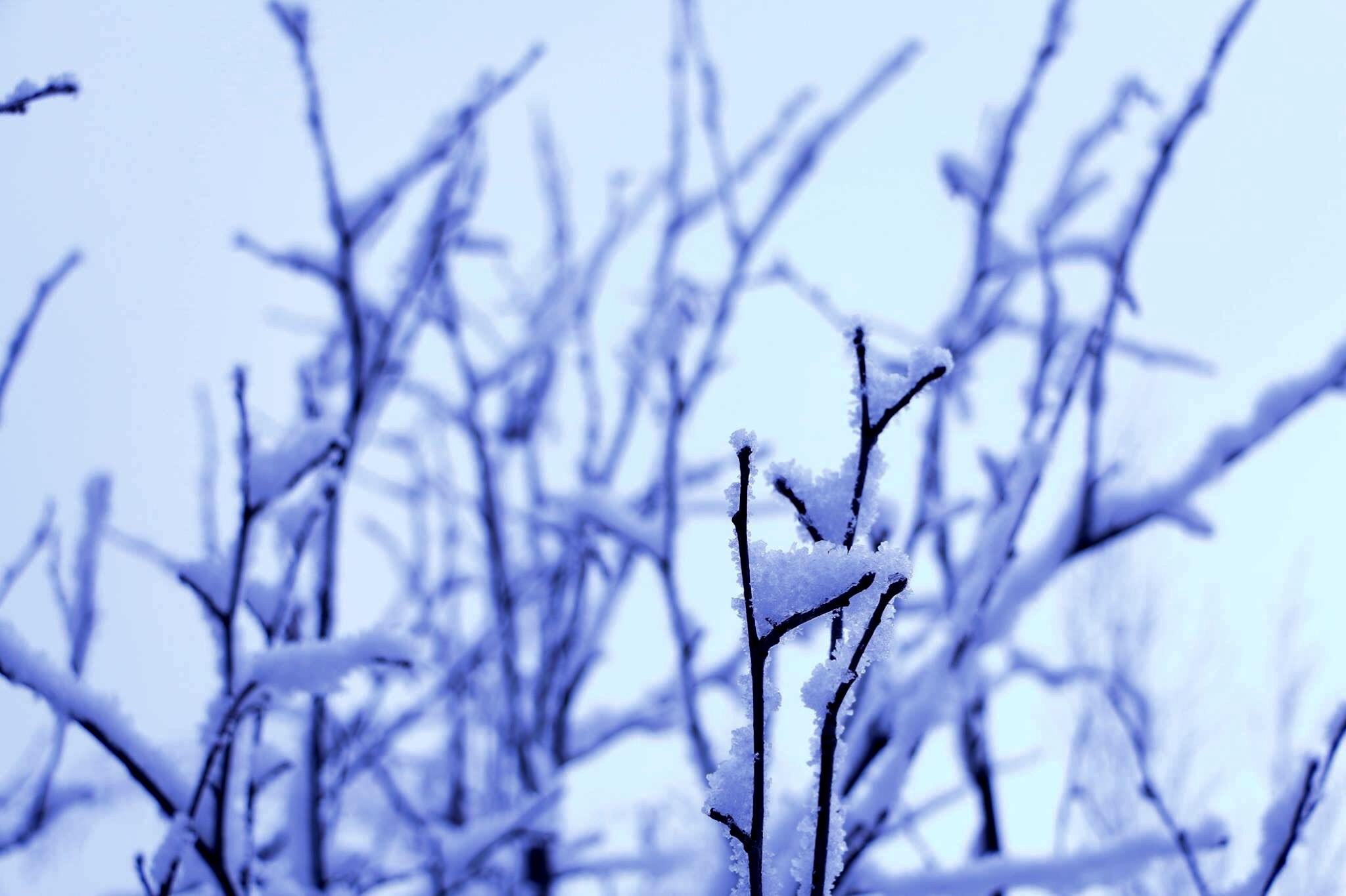 Alaska 2016 by meira raz - Ourboox.com