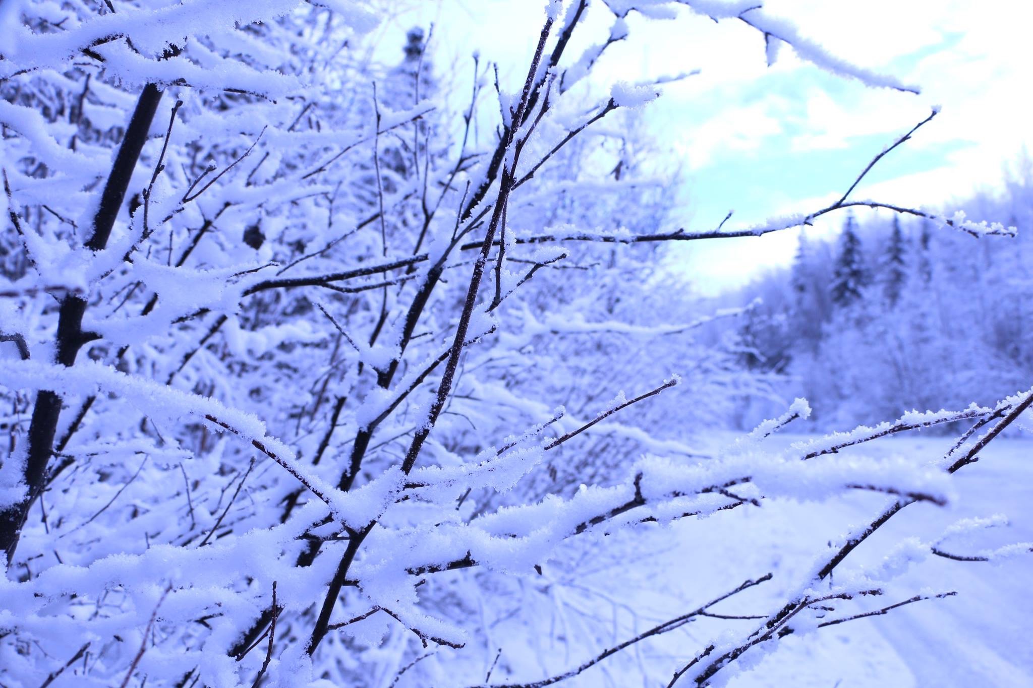 Alaska 2016 by meira raz - Ourboox.com