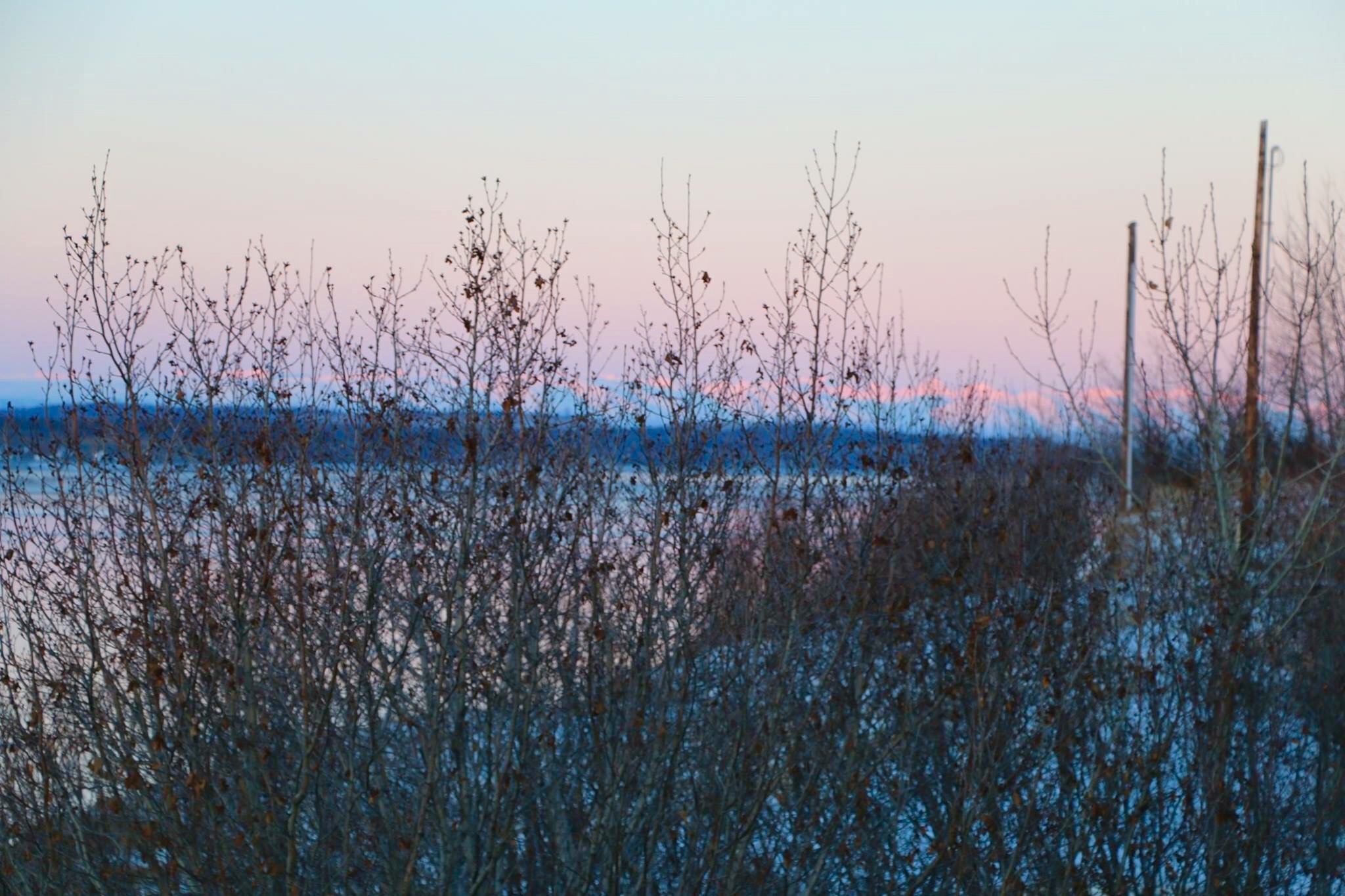 Alaska 2016 by meira raz - Ourboox.com