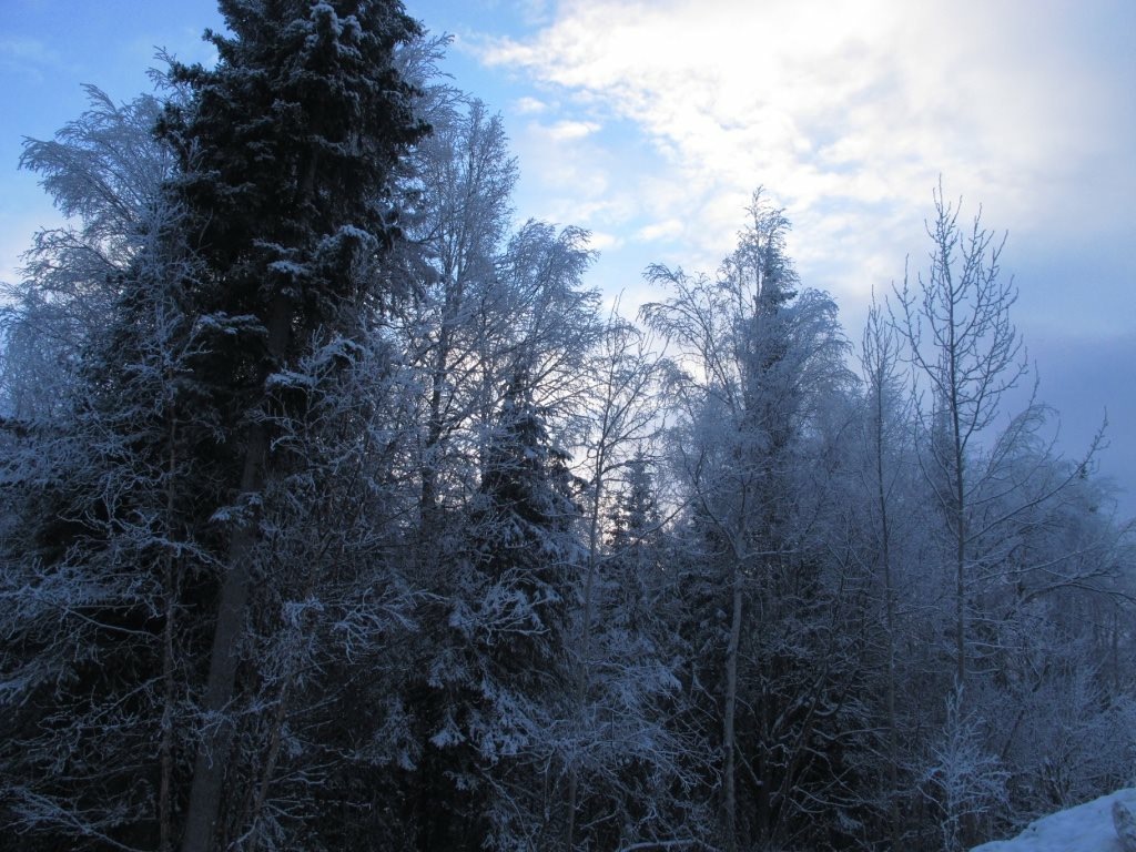 Alaska 2016 by meira raz - Ourboox.com