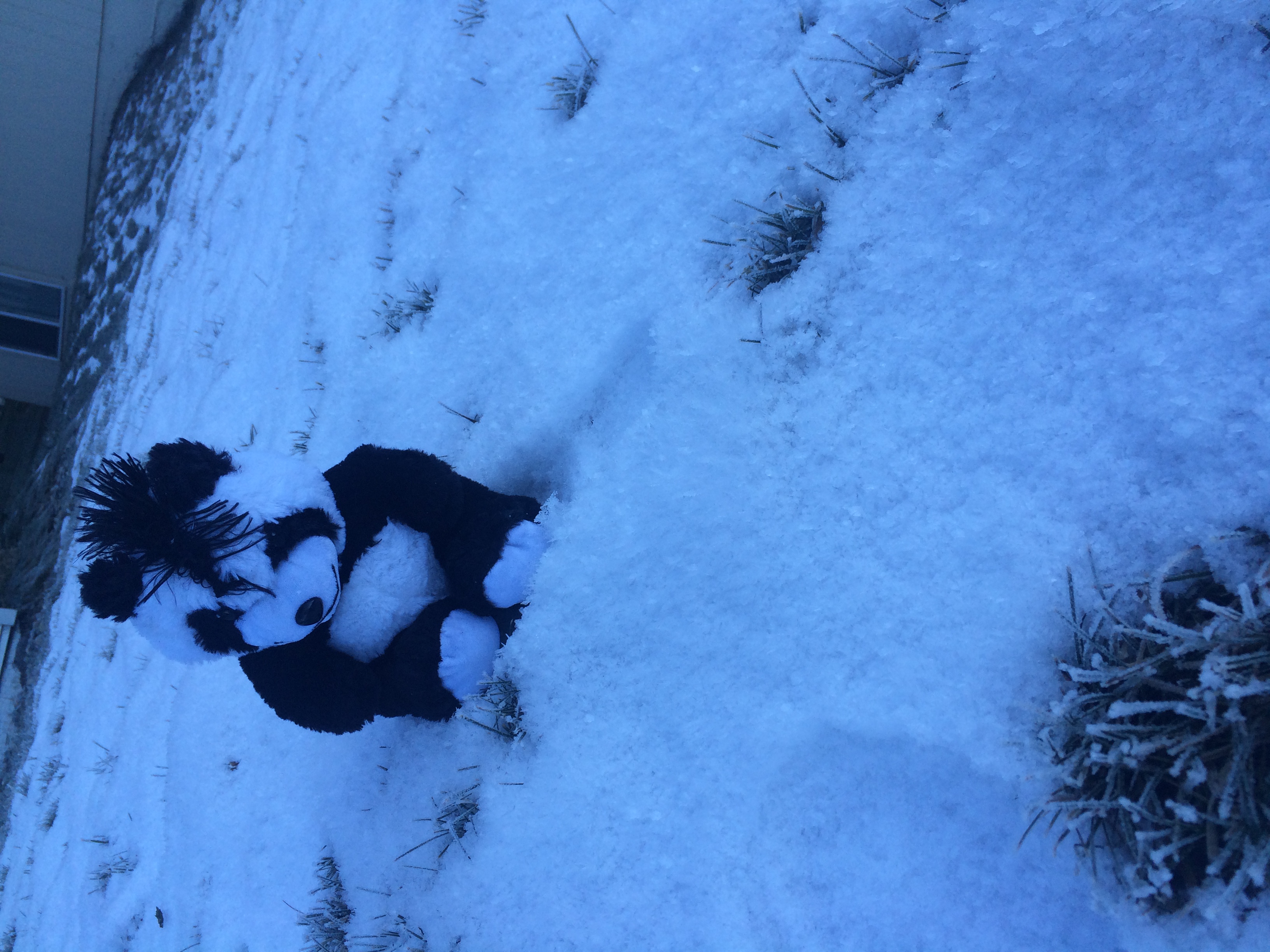 Alaska 2016 by meira raz - Ourboox.com