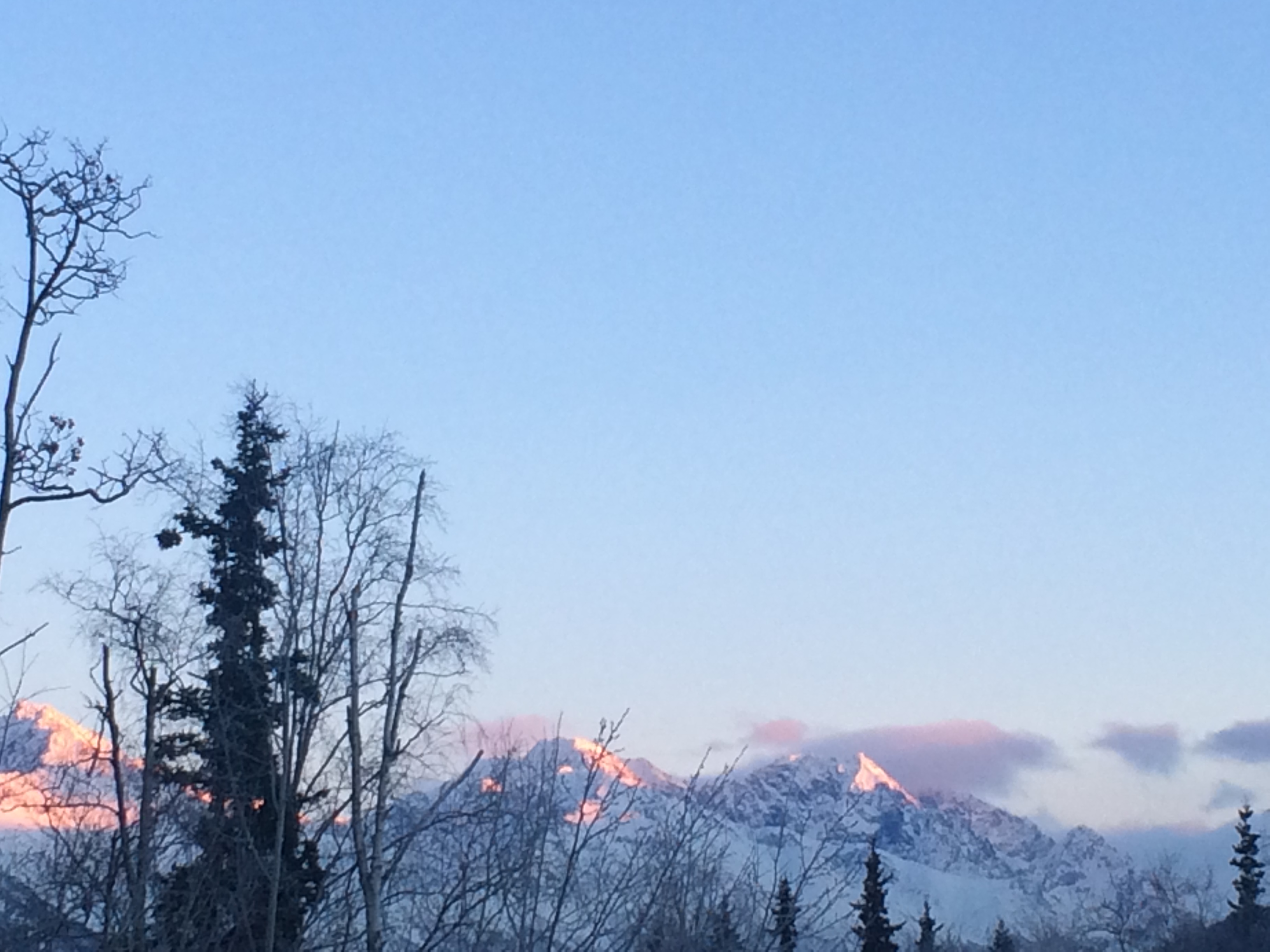 Alaska 2016 by meira raz - Ourboox.com