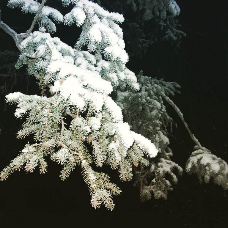 Alaska 2016 by meira raz - Ourboox.com