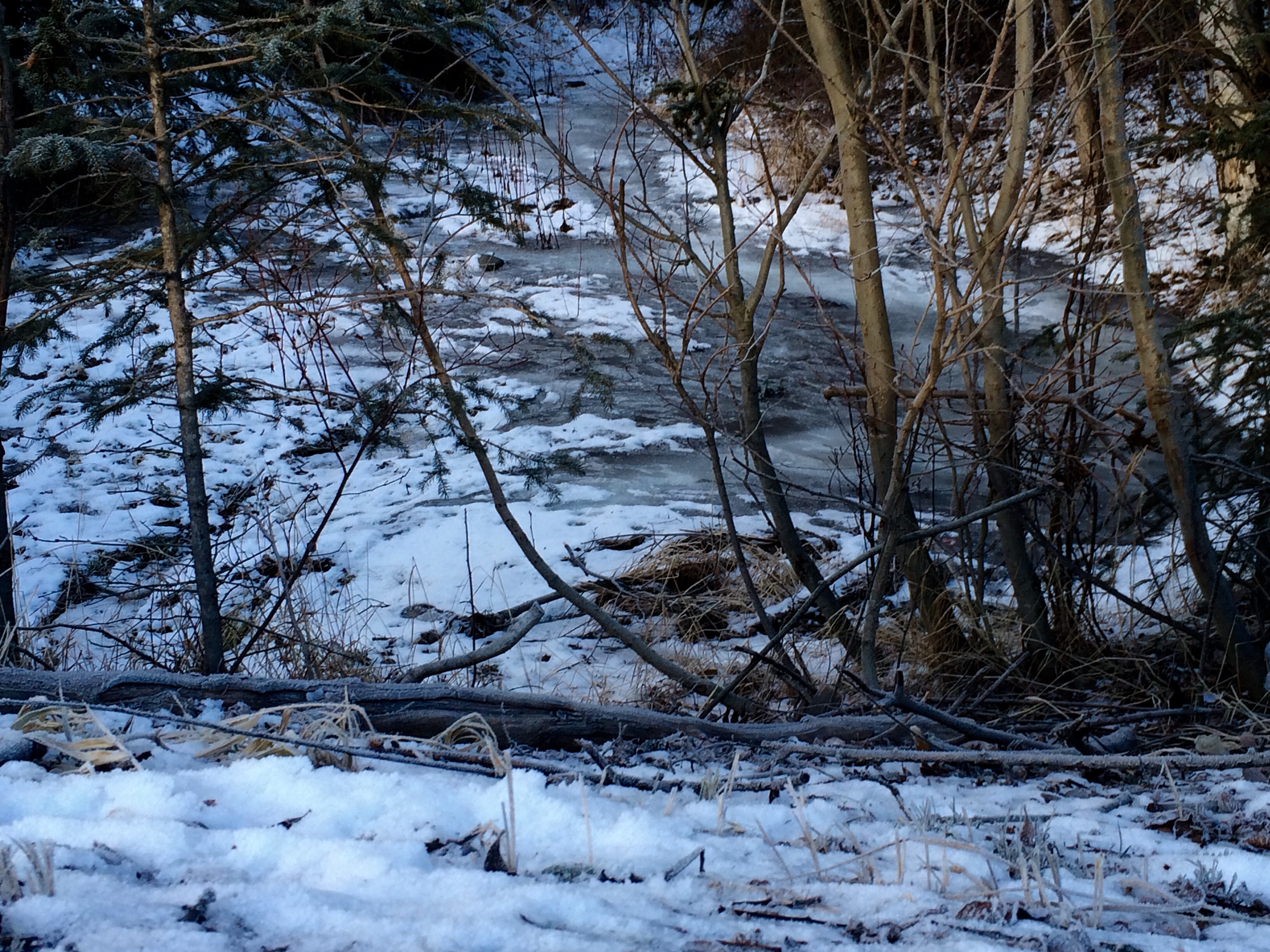 Alaska 2016 by meira raz - Ourboox.com