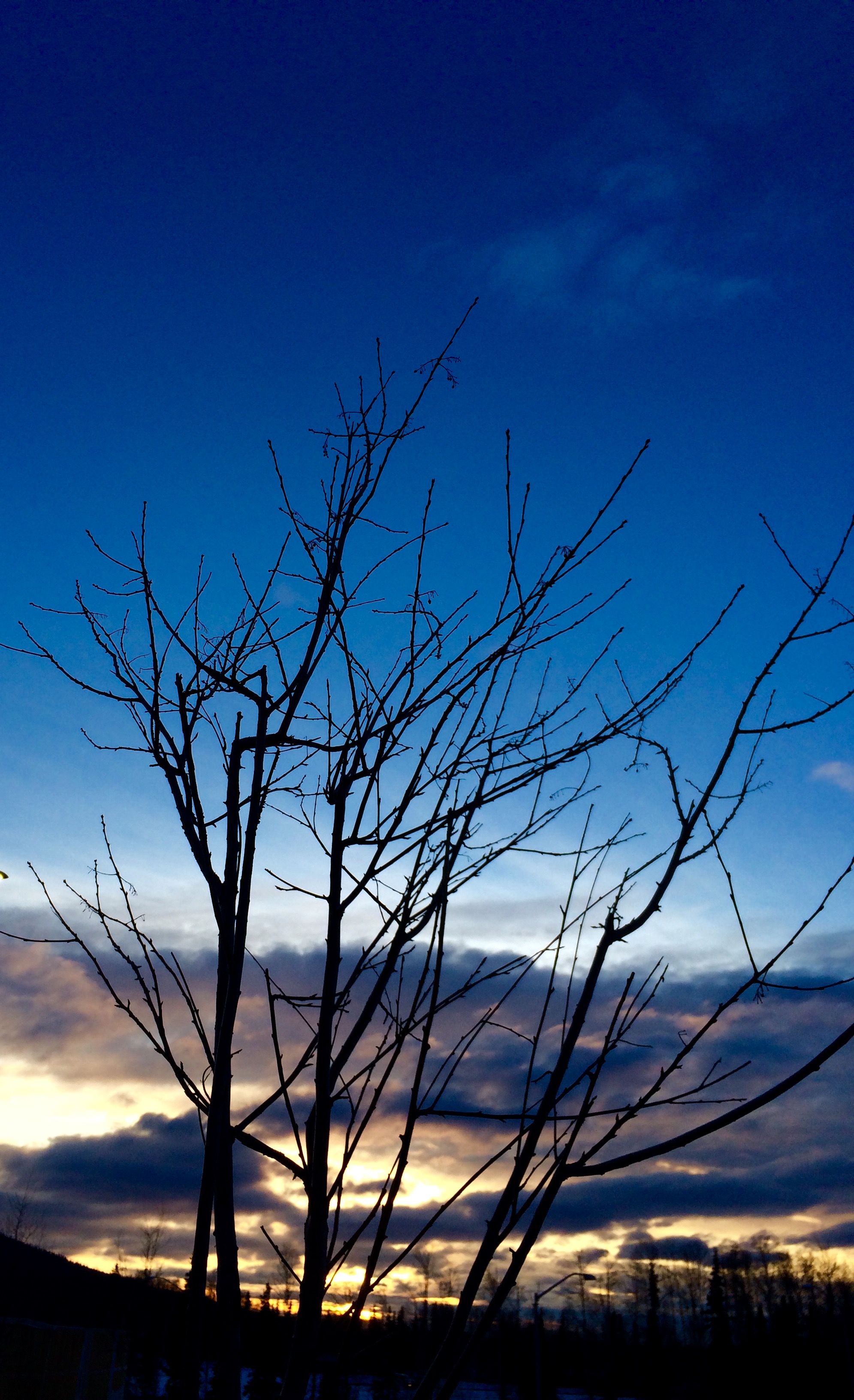 Alaska 2016 by meira raz - Ourboox.com