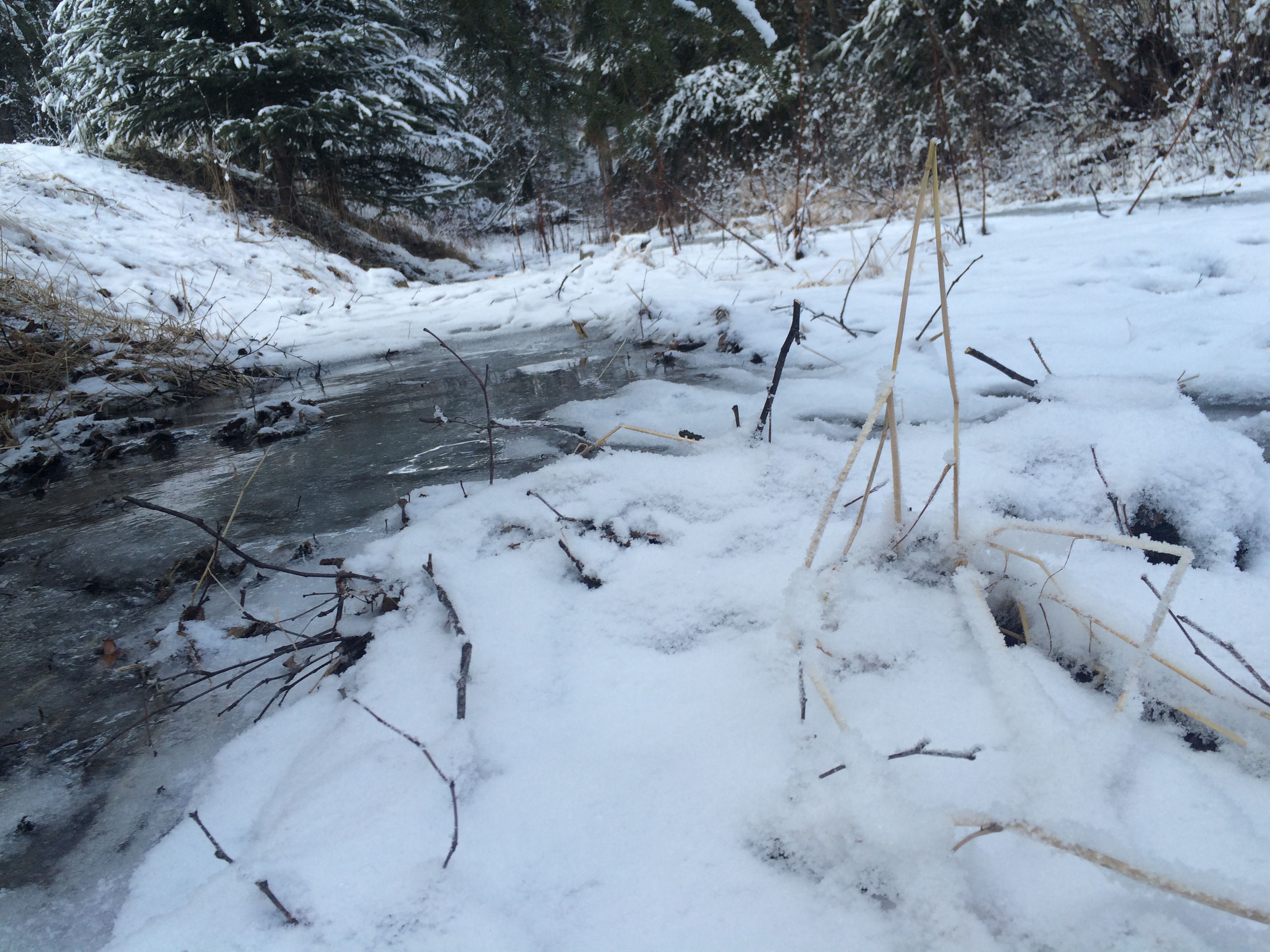 Alaska 2016 by meira raz - Ourboox.com