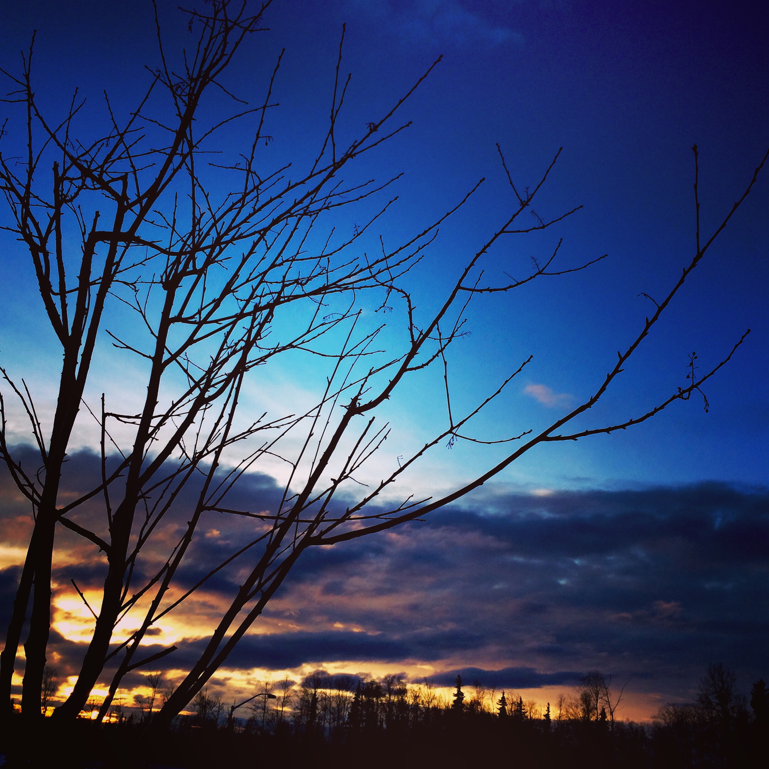 Alaska 2016 by meira raz - Ourboox.com