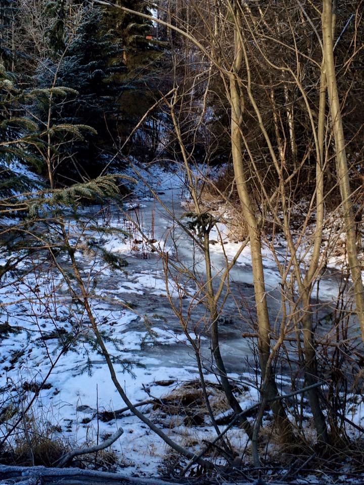 Alaska 2016 by meira raz - Ourboox.com