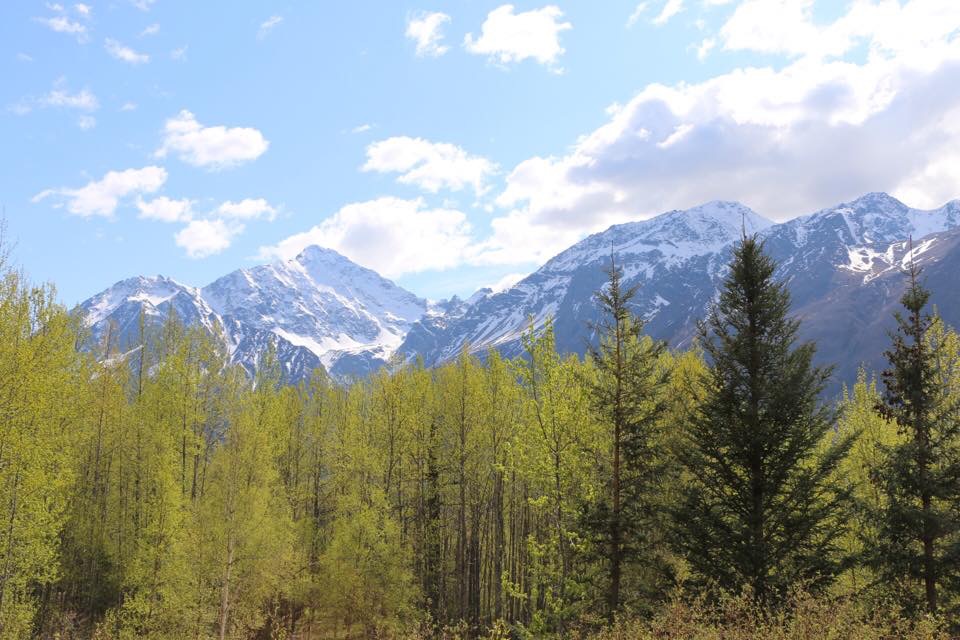 Alaska 2016 by meira raz - Ourboox.com