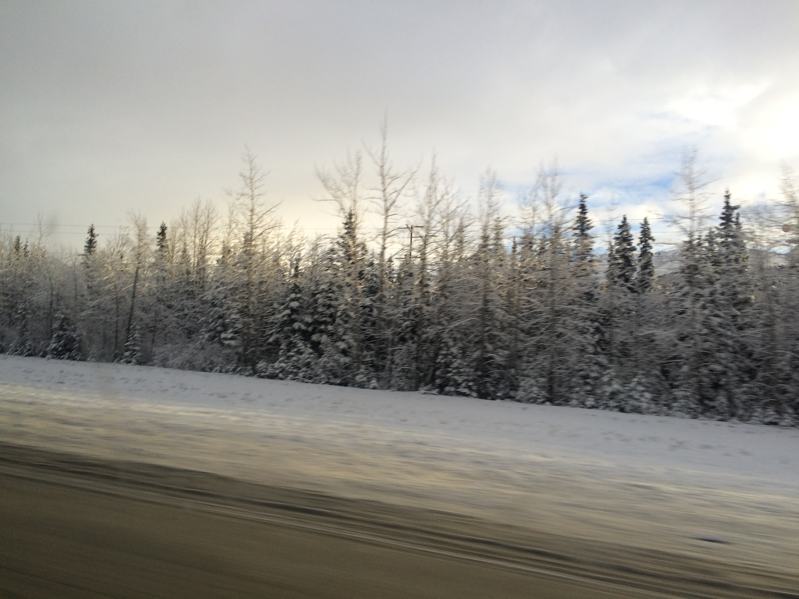 Alaska 2016 by meira raz - Ourboox.com