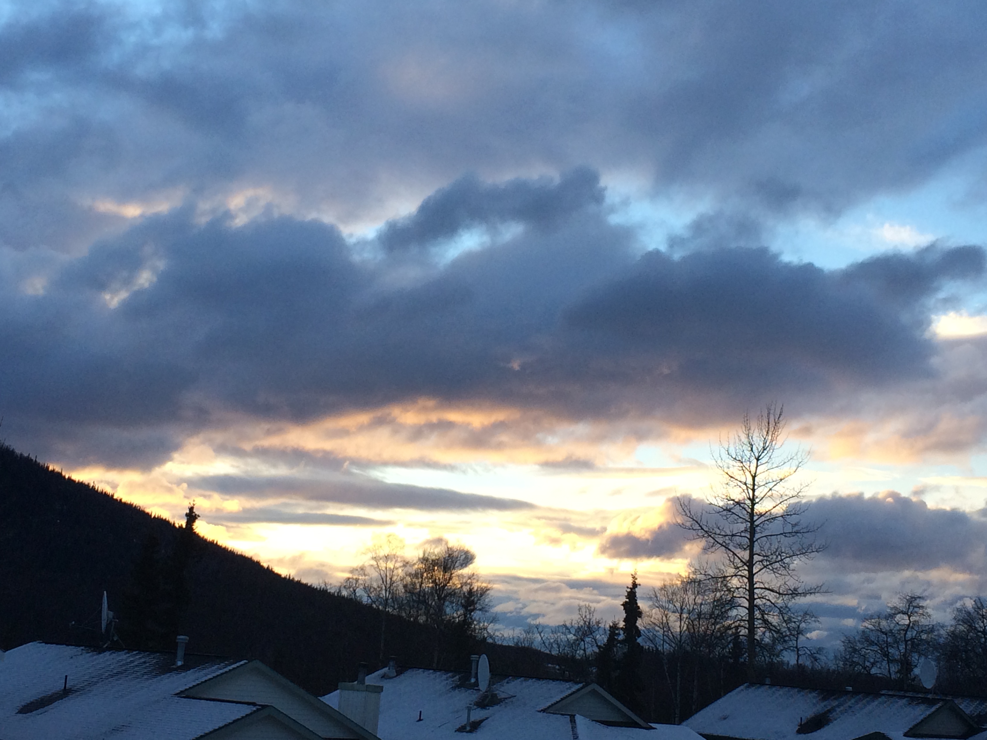 Alaska 2016 by meira raz - Ourboox.com