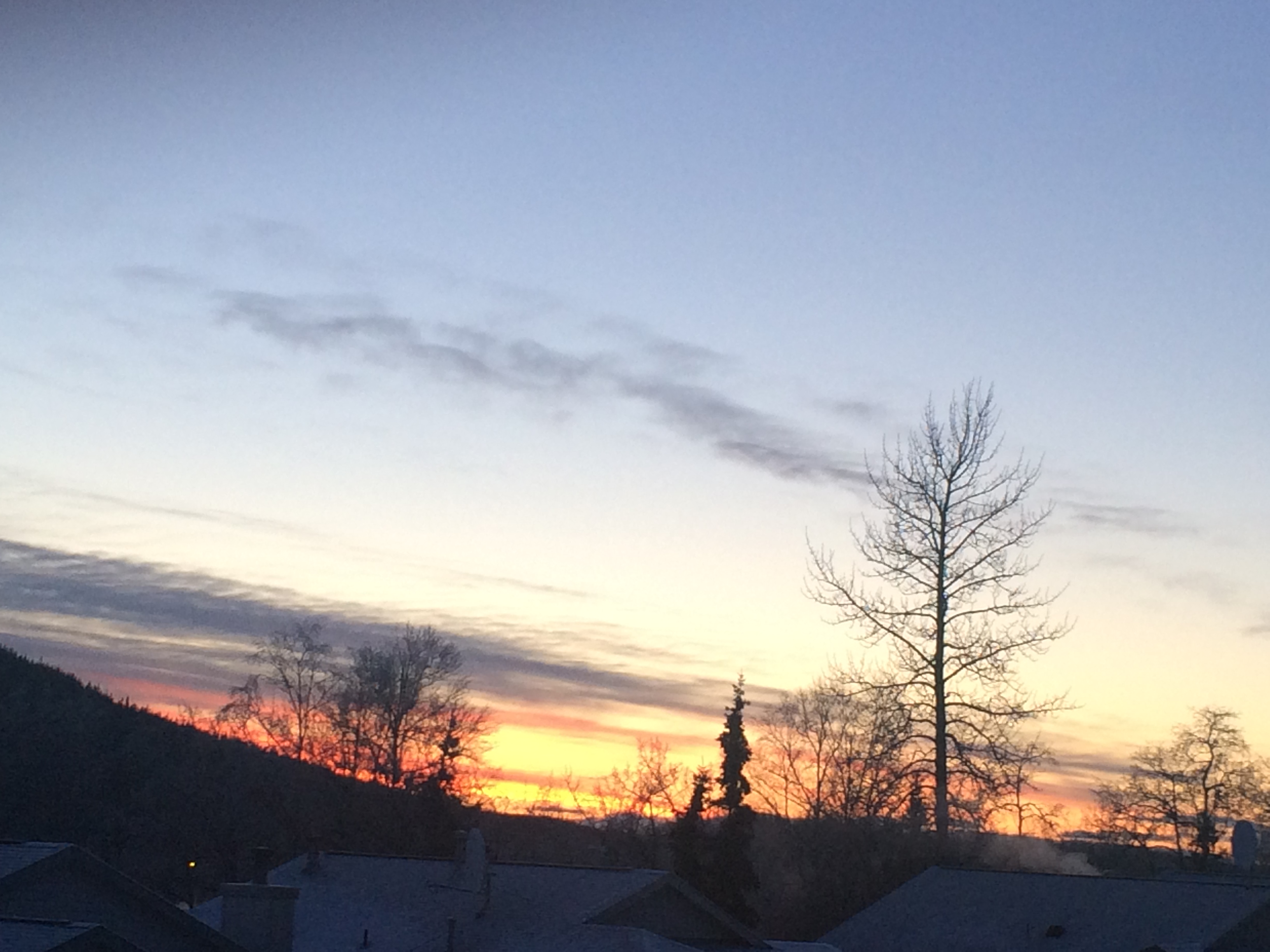 Alaska 2016 by meira raz - Ourboox.com