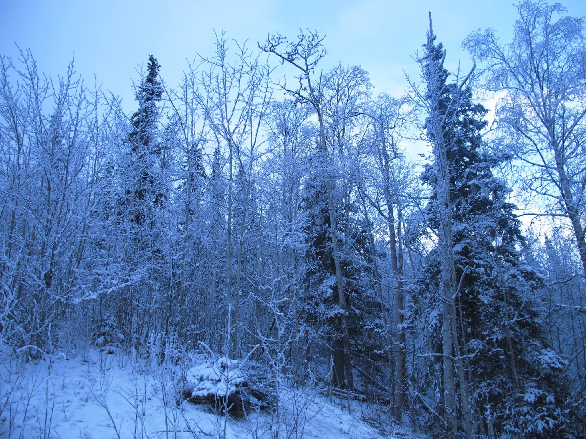 Alaska 2016 by meira raz - Ourboox.com