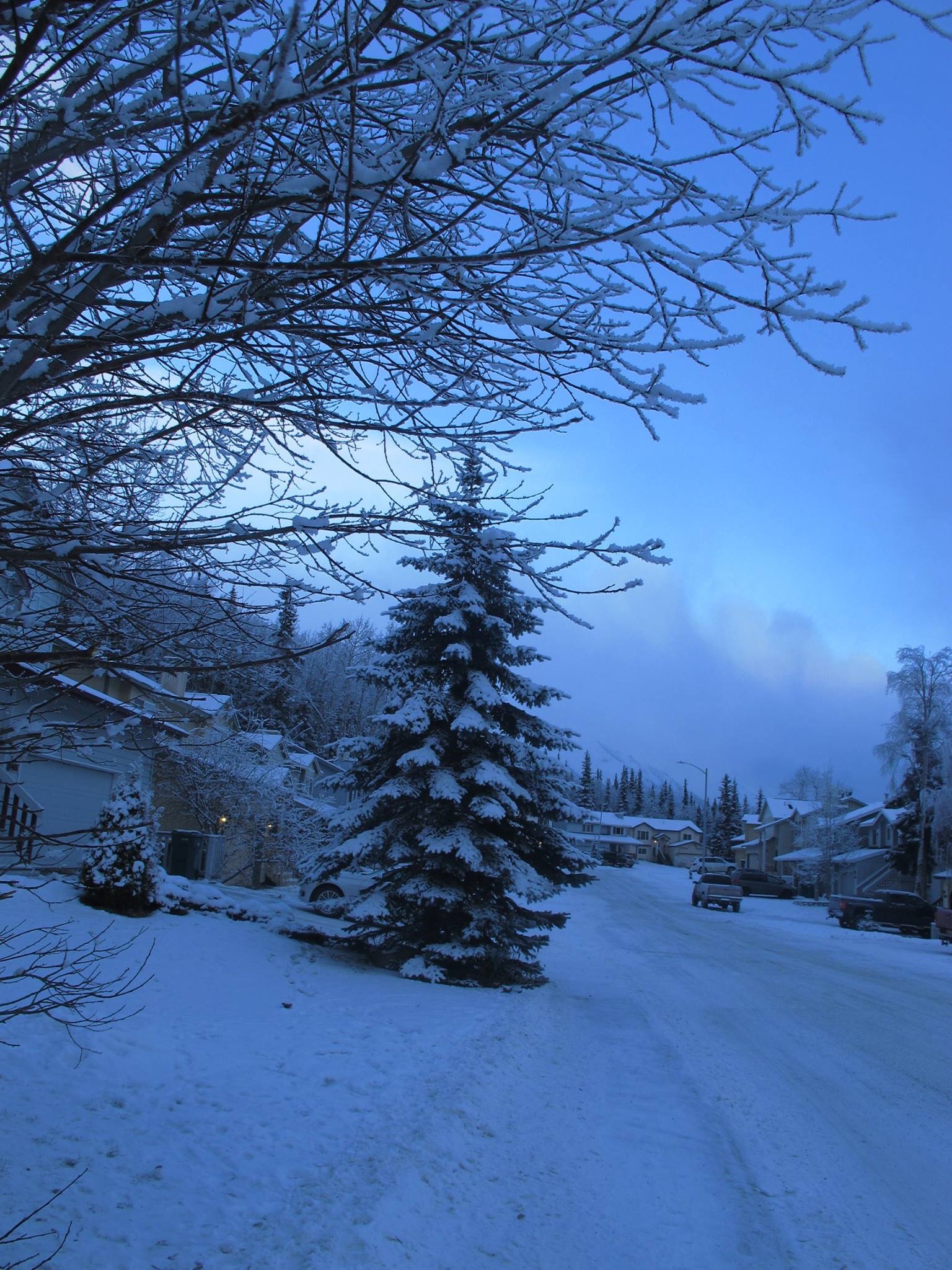 Alaska 2016 by meira raz - Ourboox.com