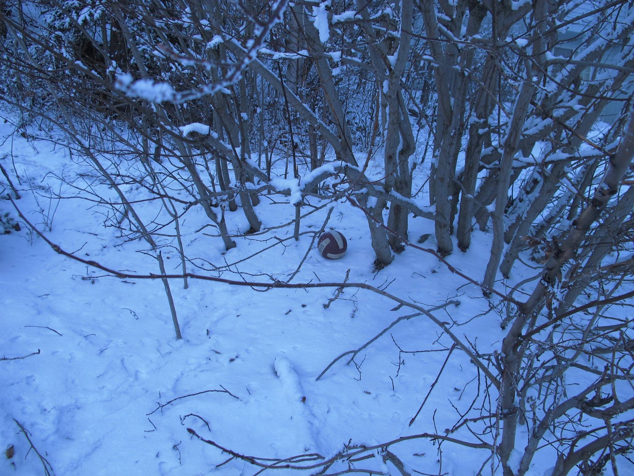 Alaska 2016 by meira raz - Ourboox.com