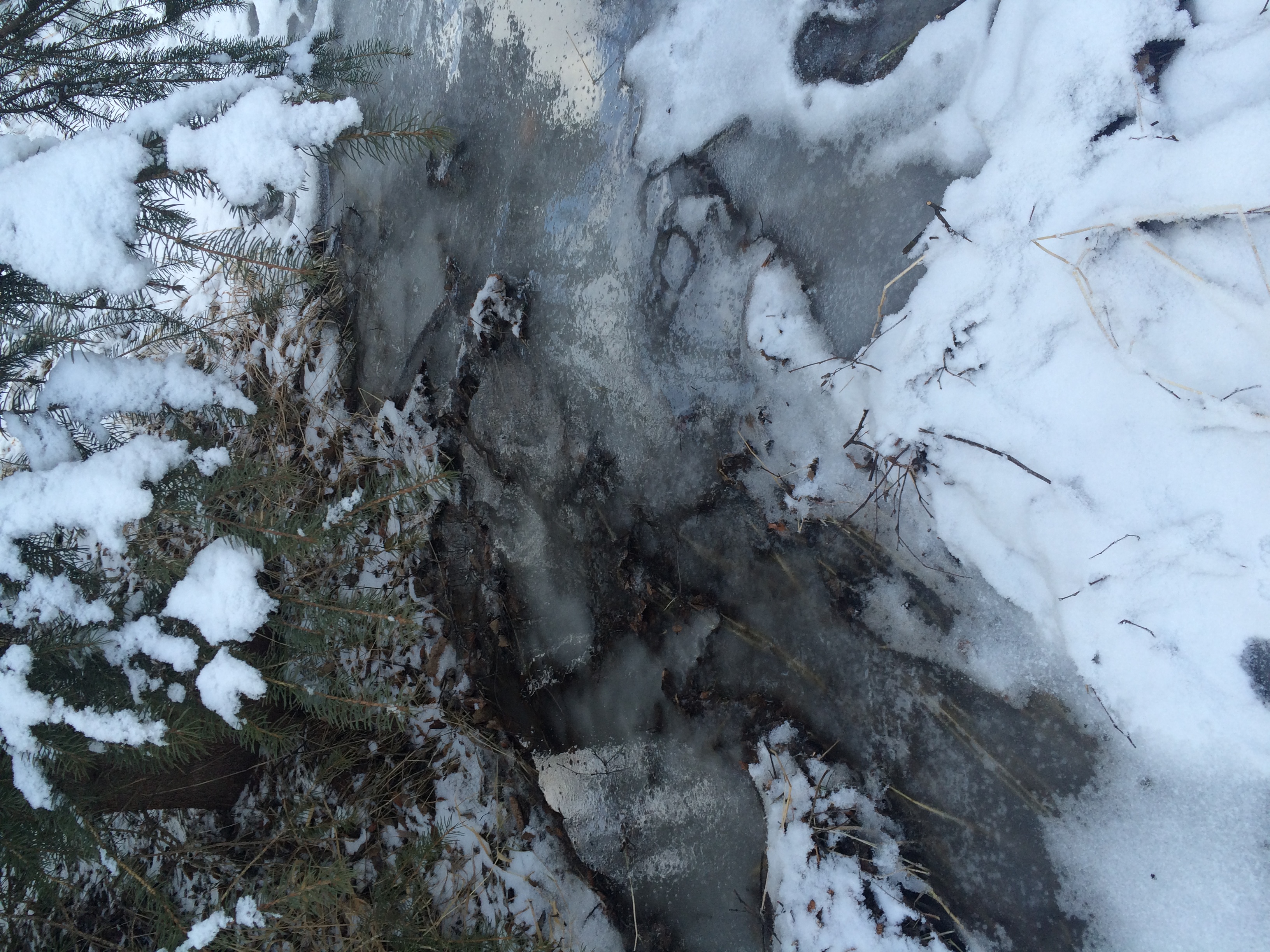 Alaska 2016 by meira raz - Ourboox.com