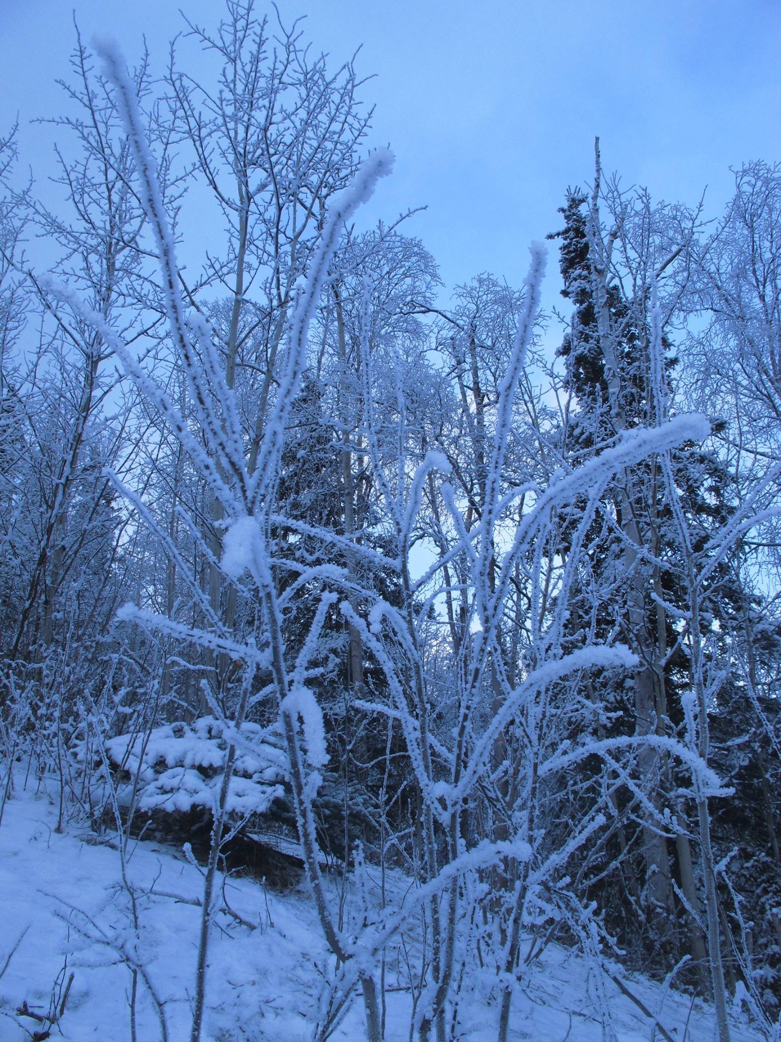 Alaska 2016 by meira raz - Ourboox.com