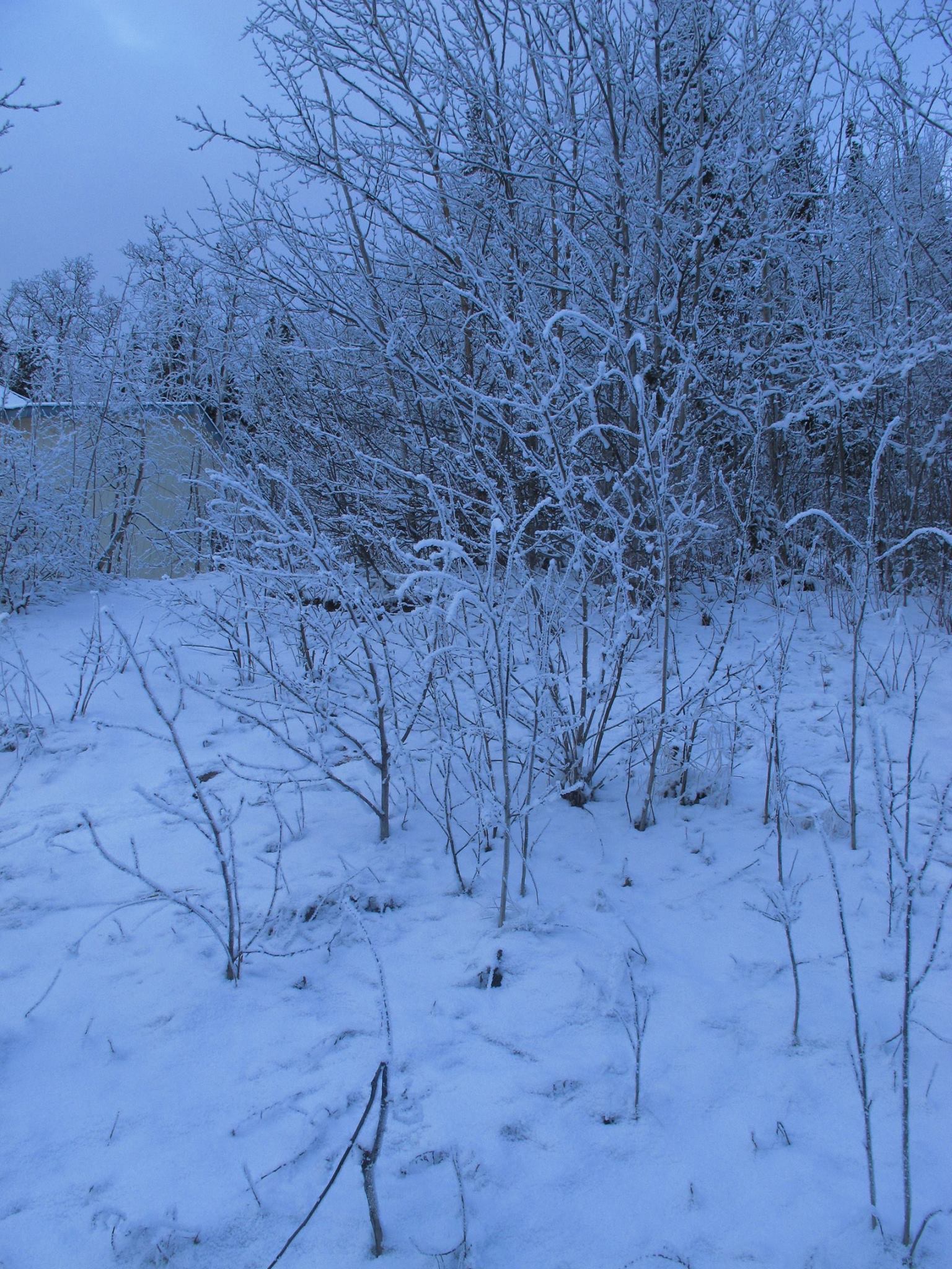 Alaska 2016 by meira raz - Ourboox.com