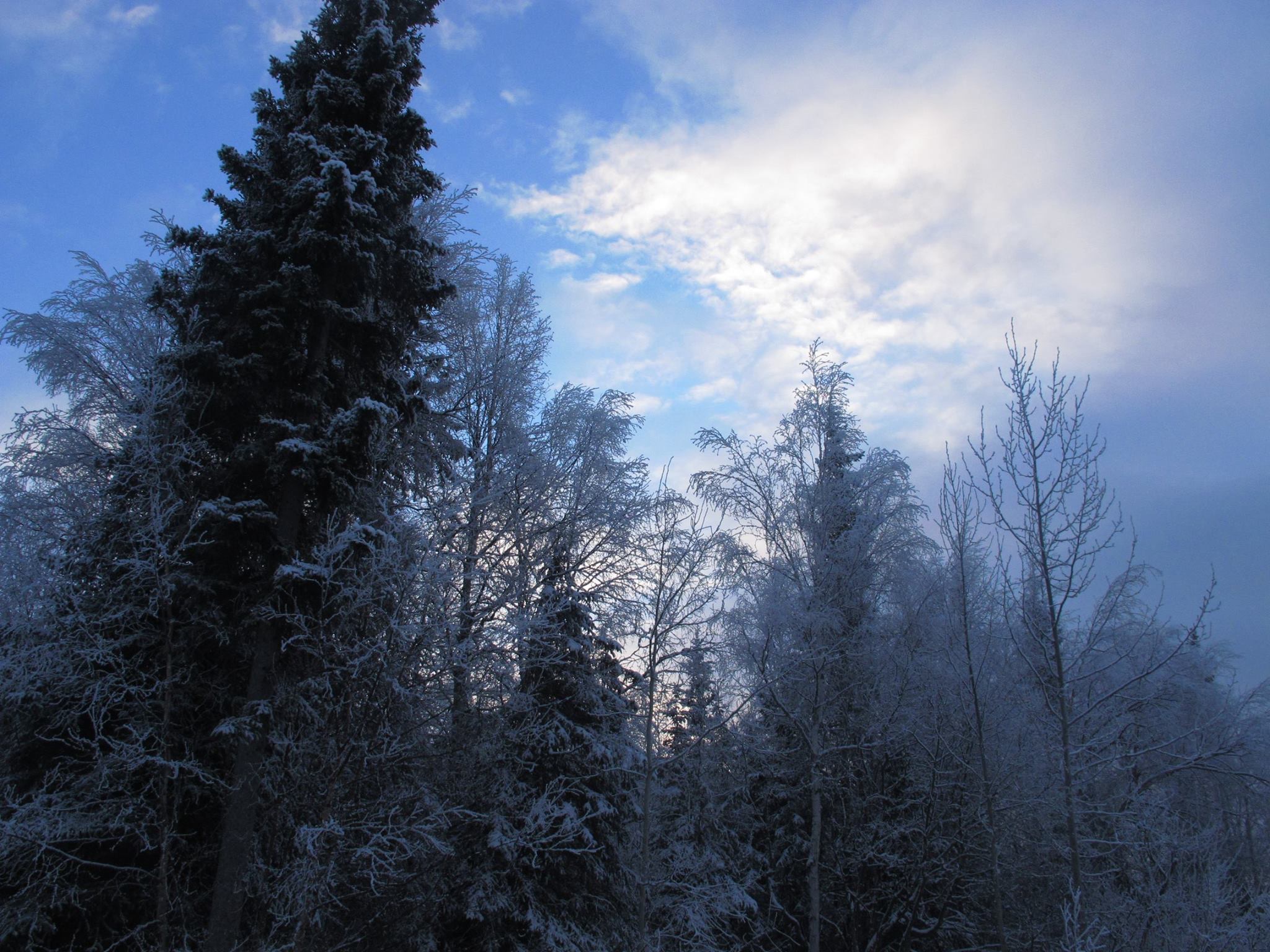 Alaska 2016 by meira raz - Ourboox.com