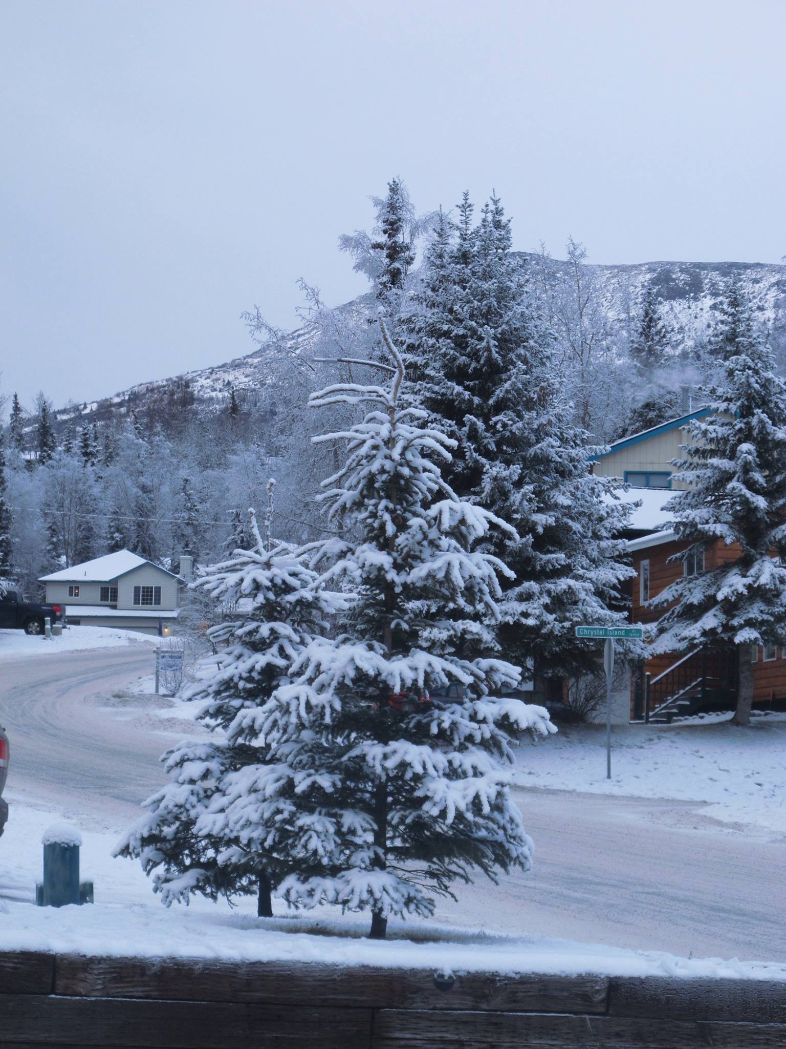 Alaska 2016 by meira raz - Ourboox.com