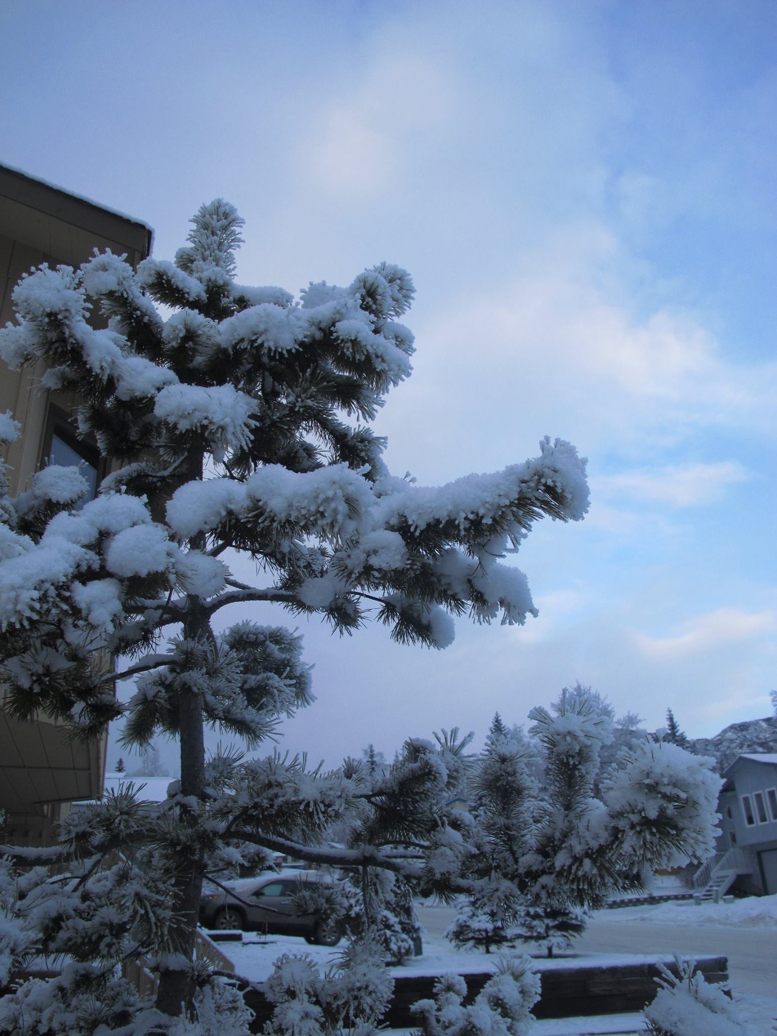 Alaska 2016 by meira raz - Ourboox.com