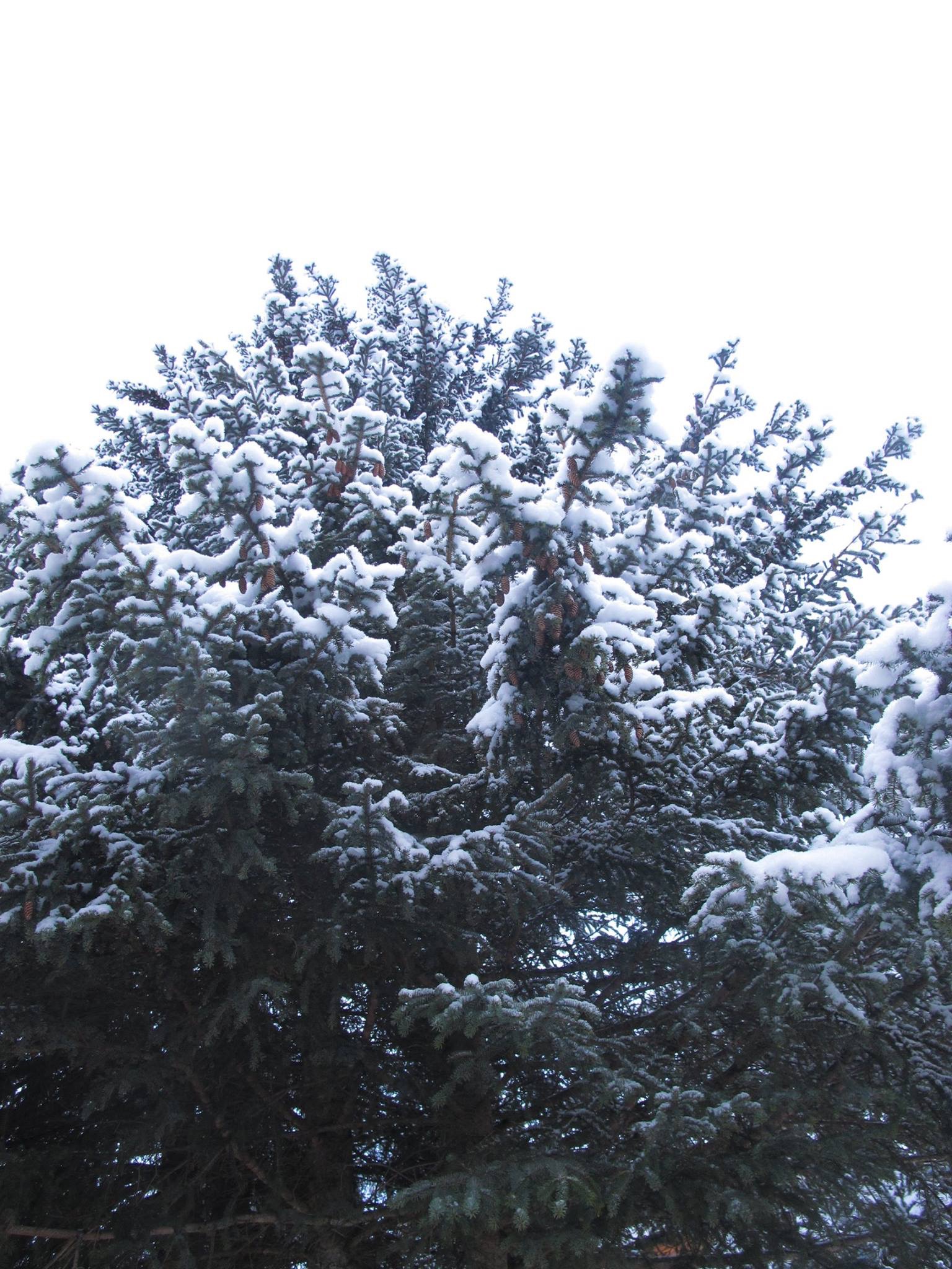 Alaska 2016 by meira raz - Ourboox.com