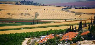 סיפור העלייה של סבי by hovav  - Illustrated by עומר לב - Ourboox.com