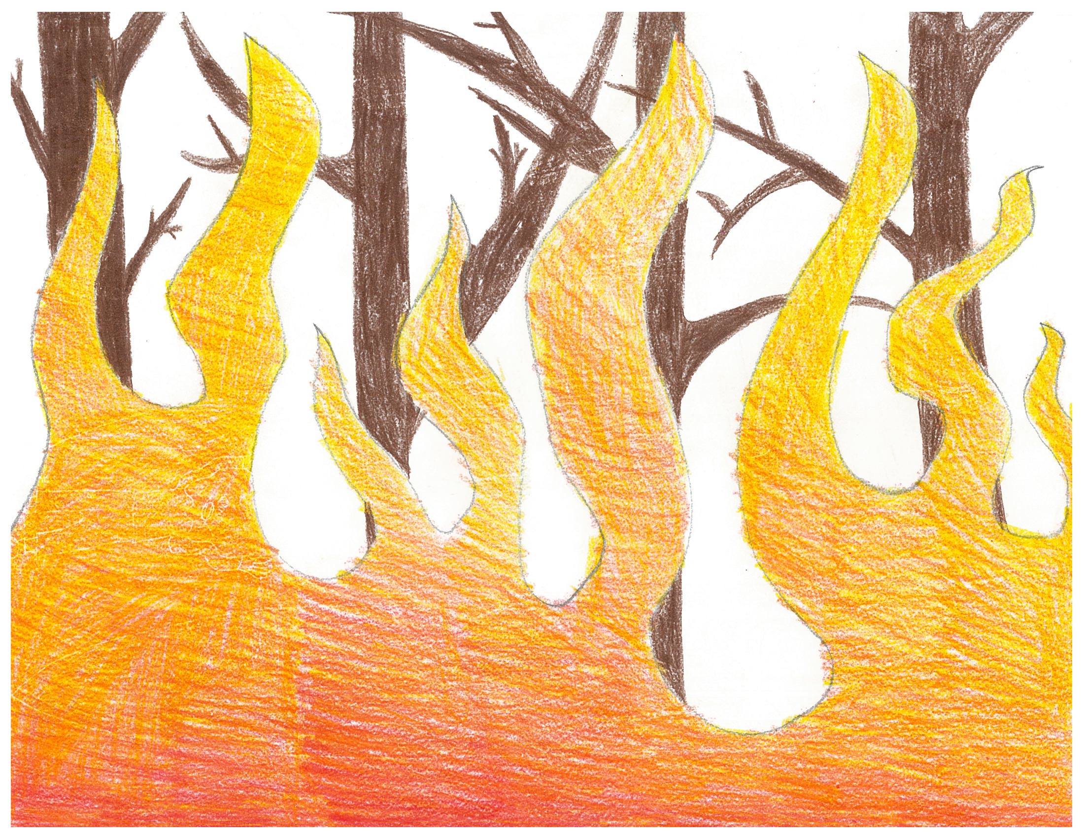 The Great Fire (Probably not the one you are thinking of!!!) by Tyler R. - Illustrated by Tyler R. - Ourboox.com