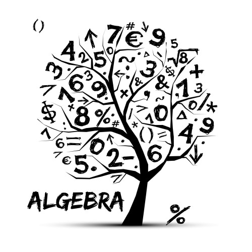 What is Algebra? by Heather Walsh - Ourboox.com