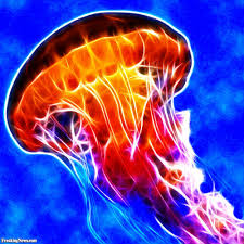 Amazing Maizee dearO by Einat Keren Mazor - Ourboox.com