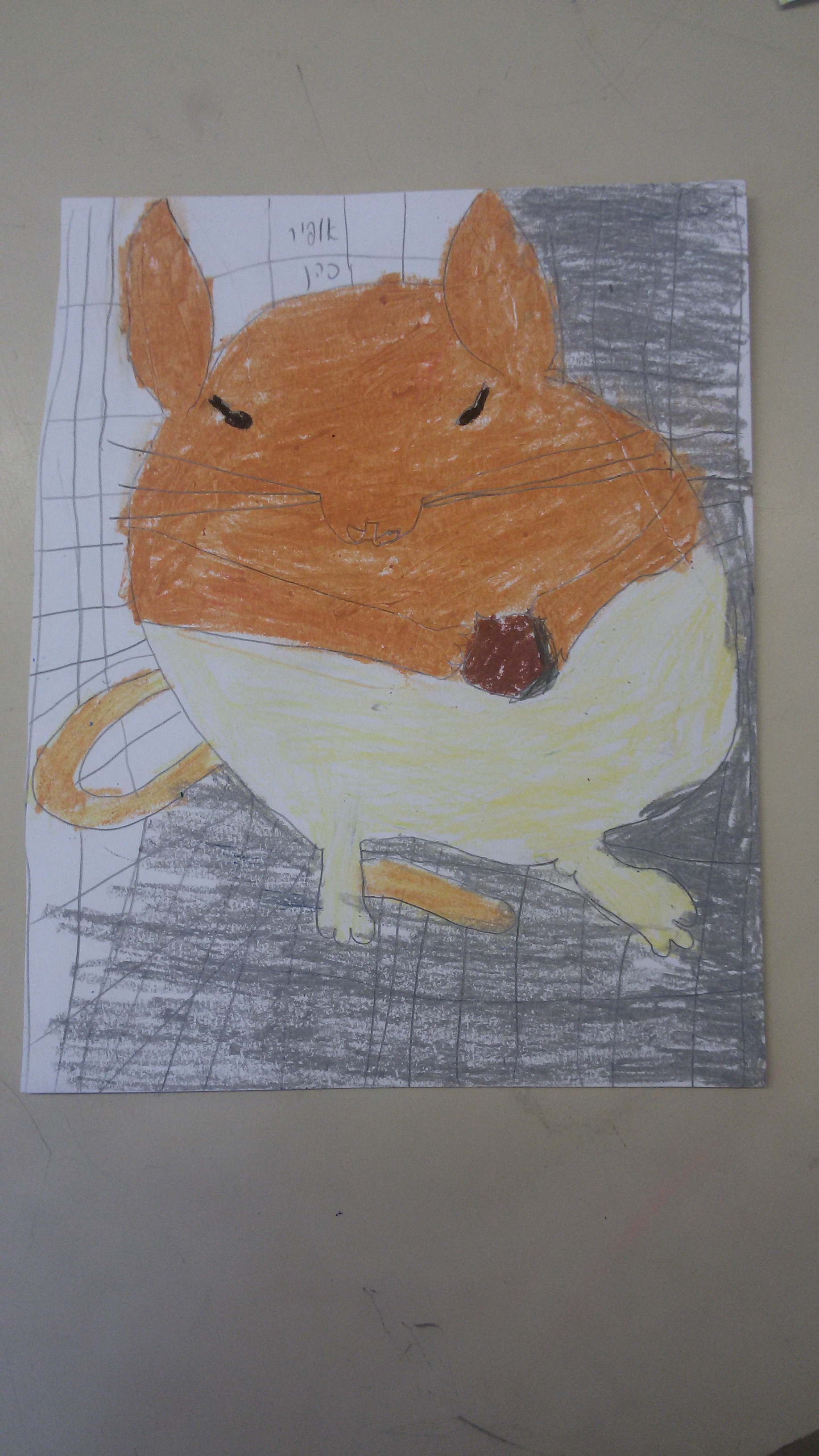 ספר הלמה ומדוע של כיתה ג’3 by omer berko - Illustrated by כיתה ג