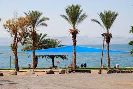 עבודת חקר צפון הארץ-רמת הגולן by rona - Ourboox.com