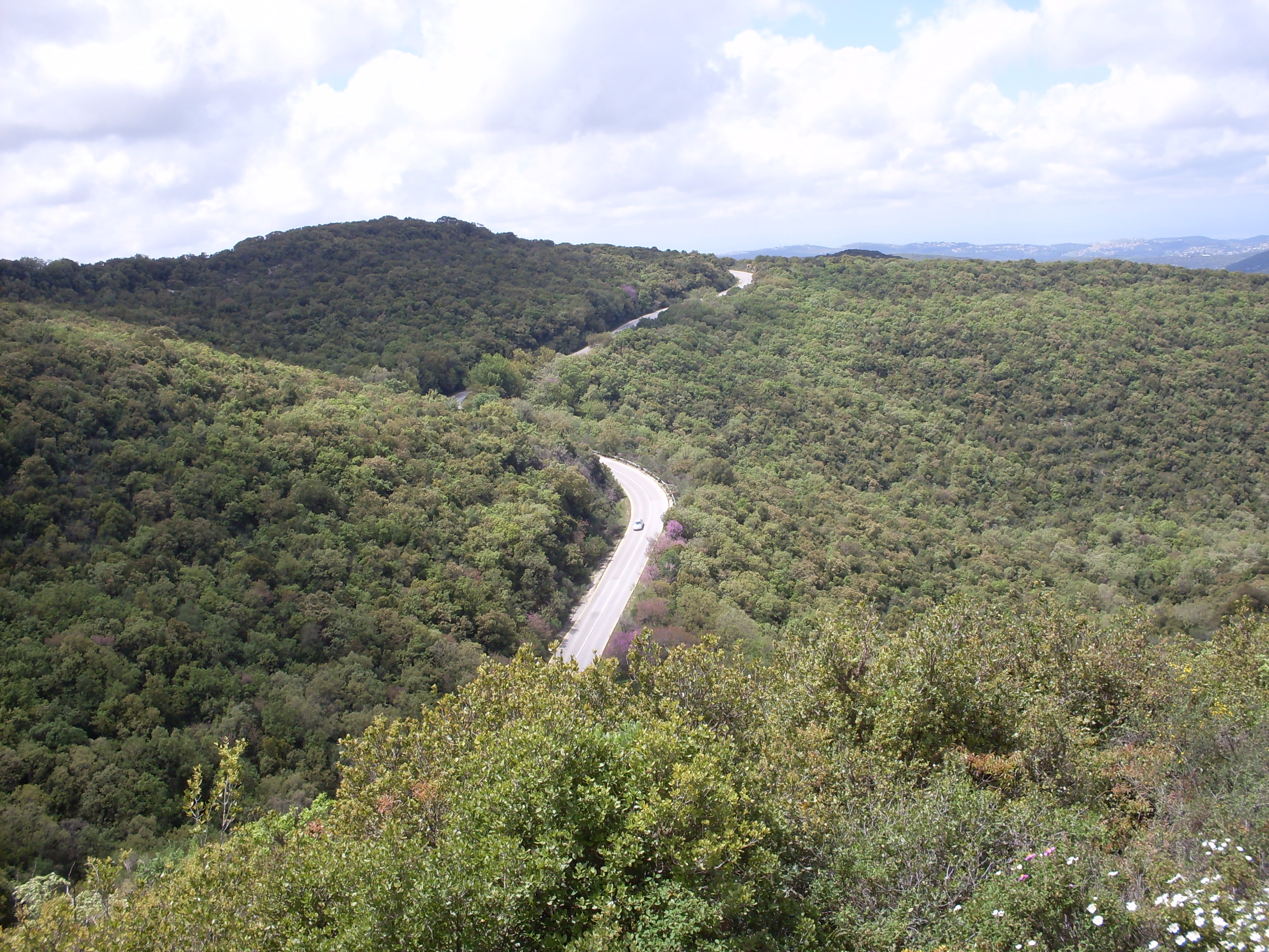 לצפון באהבה ירין ונאור by yarin - Ourboox.com