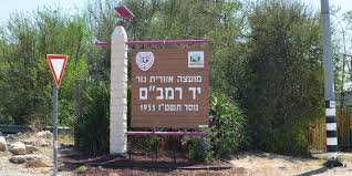 היישוב שלי by sarit snapir - Illustrated by ד