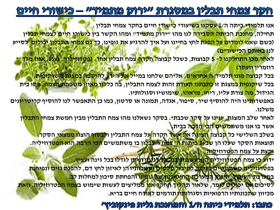 ירוק מתמיד by efrat - Illustrated by תלמידי בית ספר יזרעאליה - Ourboox.com