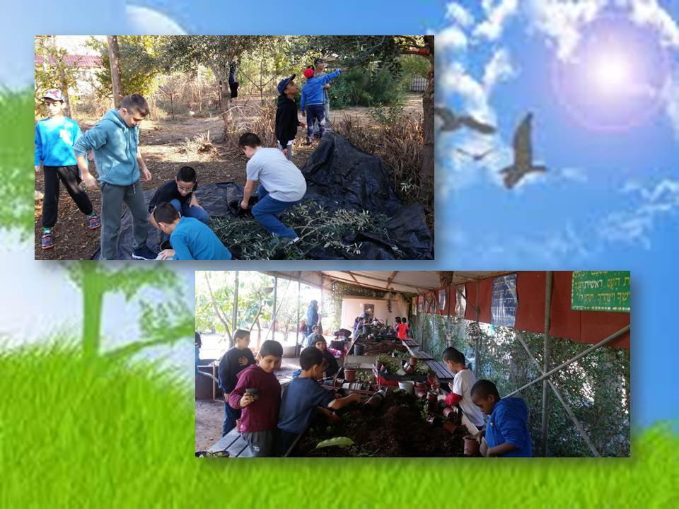 ירוק מתמיד by efrat - Illustrated by תלמידי בית ספר יזרעאליה - Ourboox.com