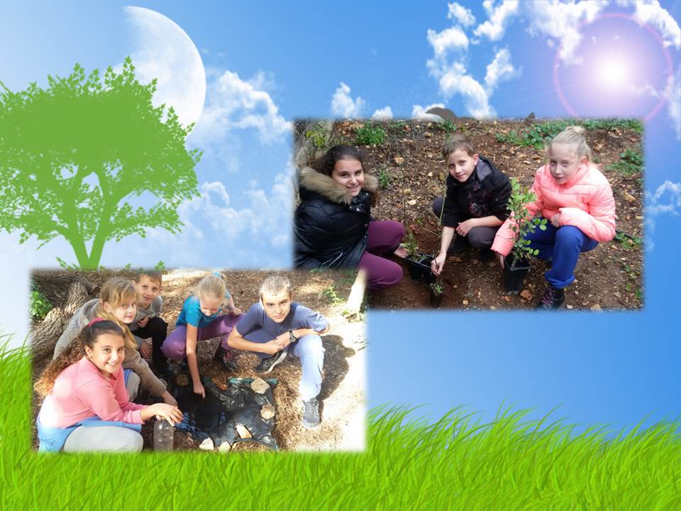 ירוק מתמיד by efrat - Illustrated by תלמידי בית ספר יזרעאליה - Ourboox.com