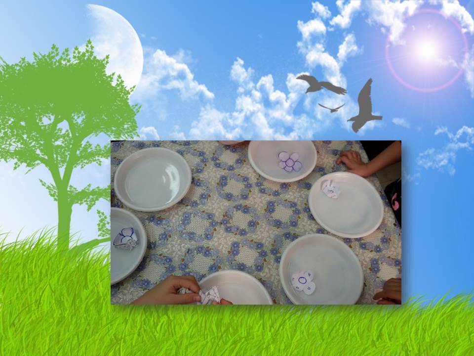 ירוק מתמיד by efrat - Illustrated by תלמידי בית ספר יזרעאליה - Ourboox.com