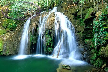 Amazing Rain Forest by lucas l - Ourboox.com