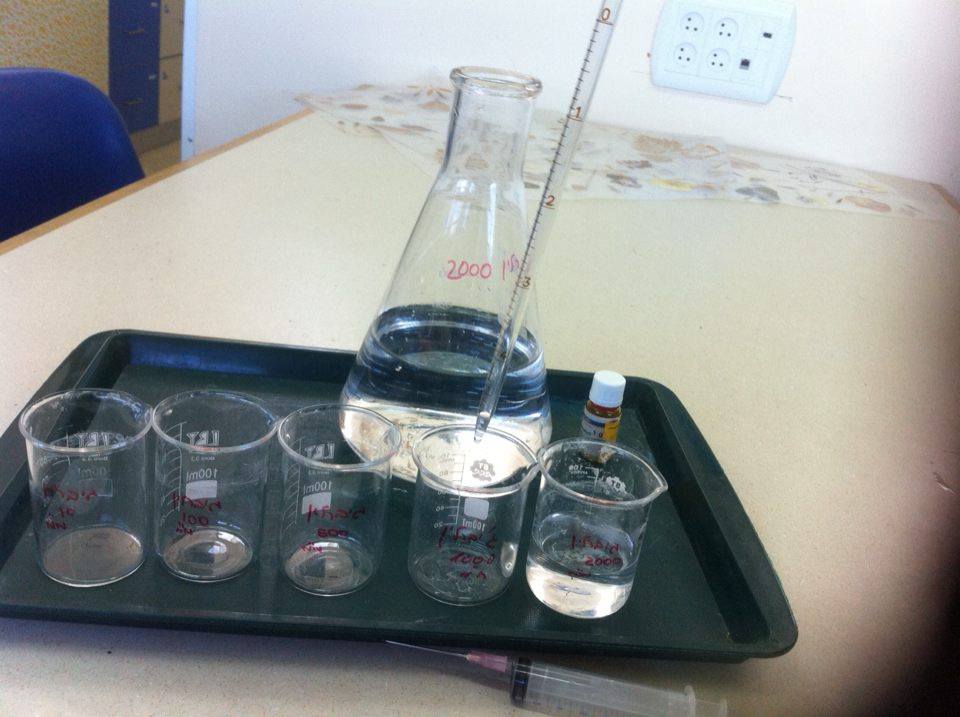 ניסוי מקדים- עידו שניידר וטל בכר by Tal Behar - Ourboox.com