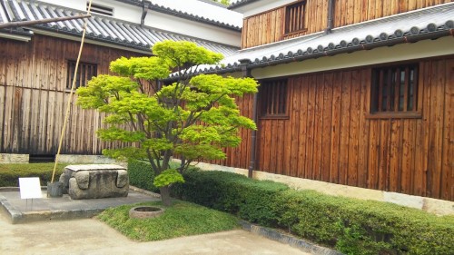 Live deeply by phototherapy by rana  - Illustrated by Rana Tibi - Ourboox.com